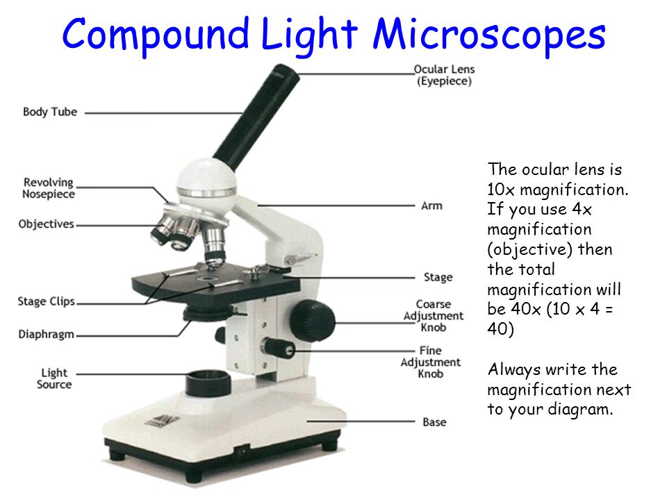 Que es microscopio y para que sirve